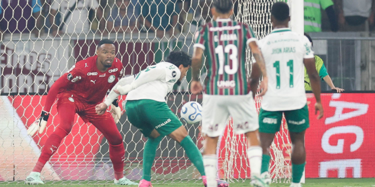Palmeiras arias