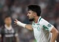 Palmeiras