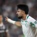 Palmeiras