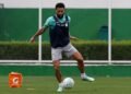 Palmeiras