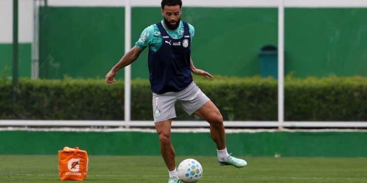 Palmeiras