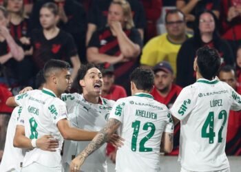 Palmeiras andreas pereira