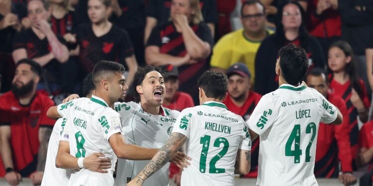 Palmeiras andreas pereira