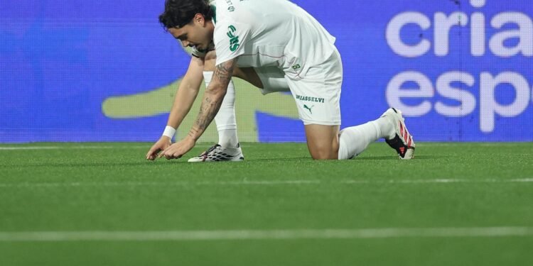 Palmeiras