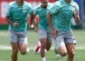 Palmeiras