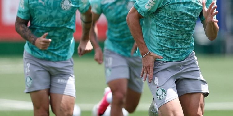 Palmeiras