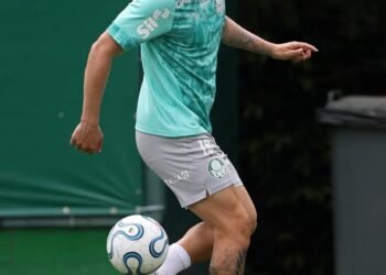 Palmeiras mauricio