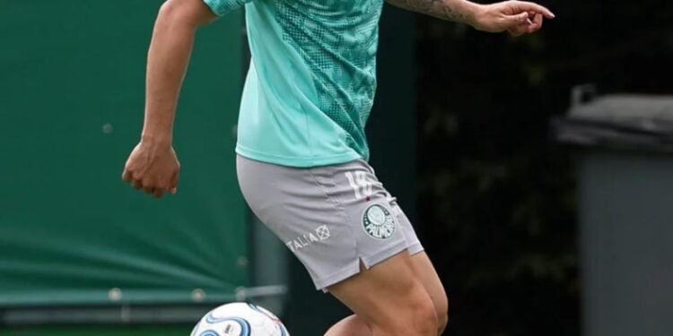 Palmeiras mauricio