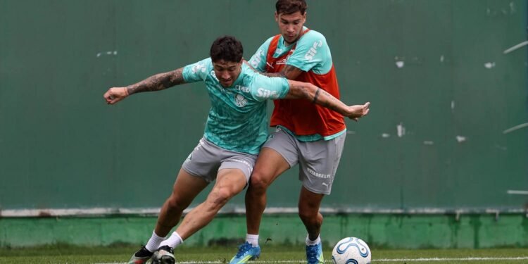palmeiras