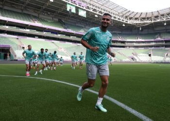 Palmeiras andreas pereira
