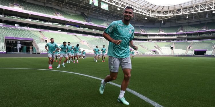 Palmeiras andreas pereira