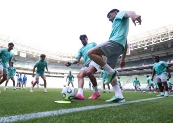 Palmeiras