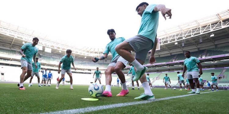 Palmeiras