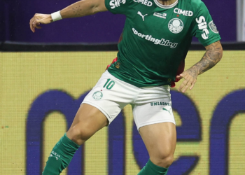 Palmeiras paulinho