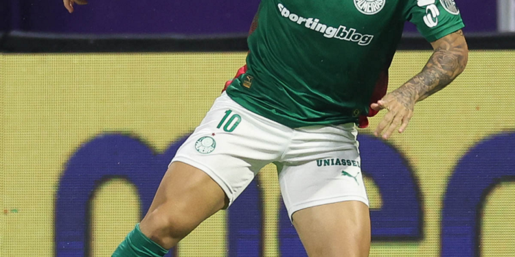 Palmeiras paulinho