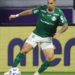 Palmeiras paulinho