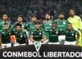 palmeiras