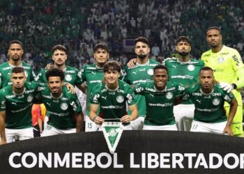 palmeiras