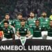 palmeiras