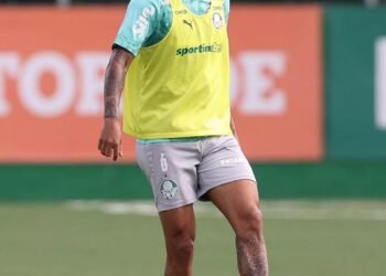 Palmeiras