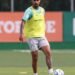 Palmeiras jefté