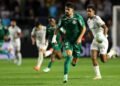 Palmeiras