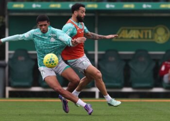 Palmeiras