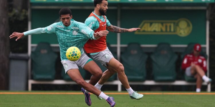 Palmeiras