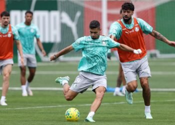 Palmeiras