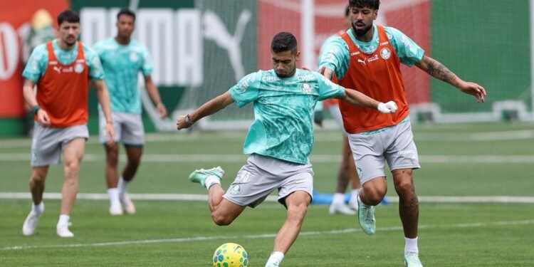 Palmeiras