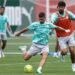Palmeiras