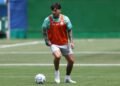 Palmeiras gustavo gomez
