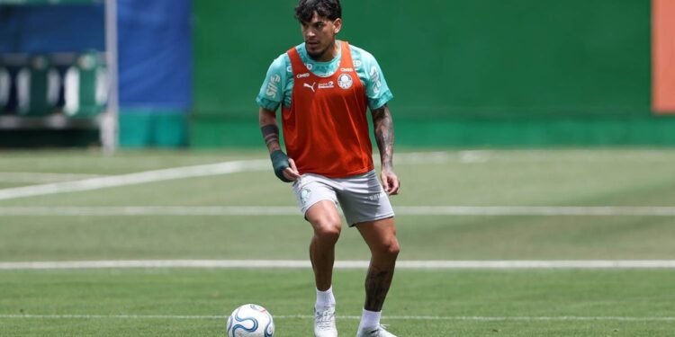 Palmeiras gustavo gomez