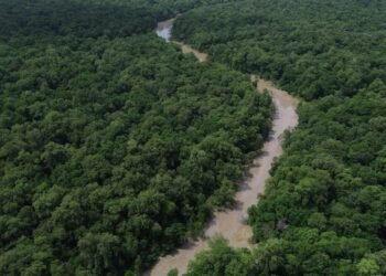 Vista do Rio Itapecuru em meio à vegetação do cerrado