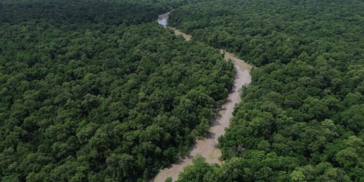 Vista do Rio Itapecuru em meio à vegetação do cerrado
