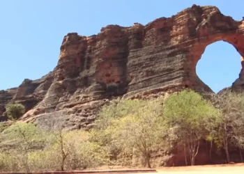 Caminhos da Reportagem - Serra da Capivara. Patrimônio cultural e histórico