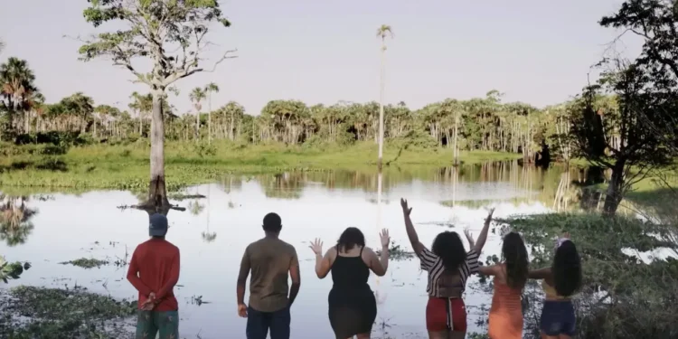 Série Ciência Flutuante explora pesquisas na Amazônia. Crédito: TV Brasil