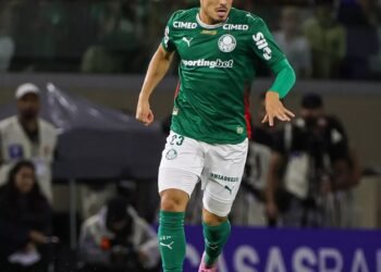 Palmeiras raphael veiga
