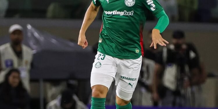 Palmeiras raphael veiga