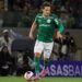 Palmeiras raphael veiga