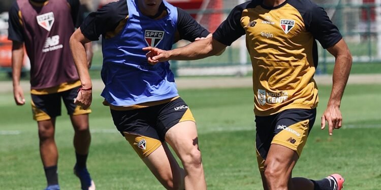 sao paulo lucas